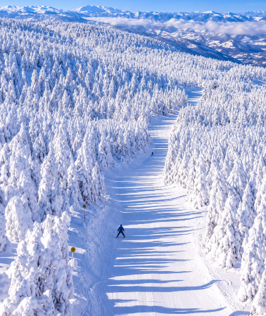 3D2N • Sendai + Ginzan Onsen + Tendo City Shogi Museum + Tendo Onsen + Frost-covered Trees in Zaō Mountains + Zaō Fox Village + Matsushima + Zao Onsen + Rairaikyo Gorge