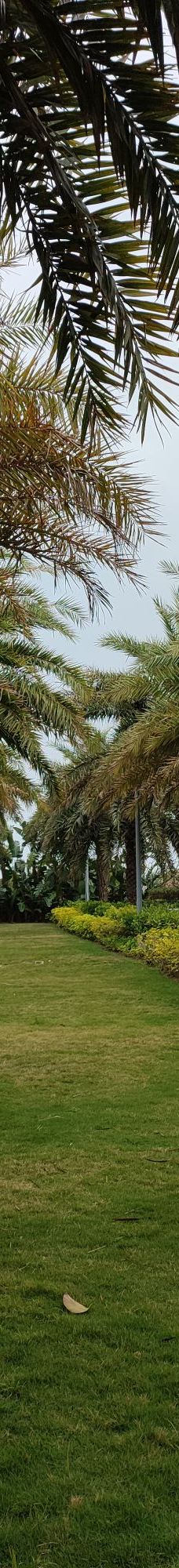 茂名森林公园-茂名