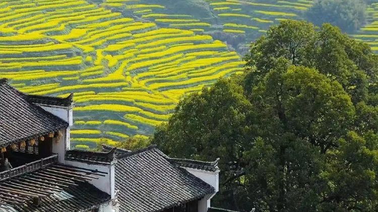 黄山市+9
