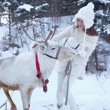 呼伦贝尔5日4晚私家团