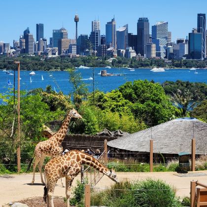 澳大利亚悉尼+悉尼歌剧院+蓝山国家公园5日4晚拼小团