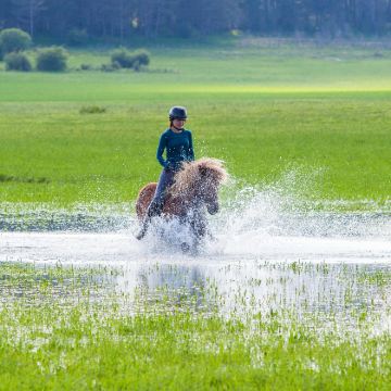 承德+乌兰布统旅游区+木兰围场+塞罕坝国家森林公园+坝上5日4晚私家团