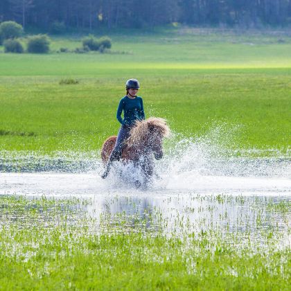 承德+乌兰布统旅游区+木兰围场+塞罕坝国家森林公园+坝上5日4晚私家团