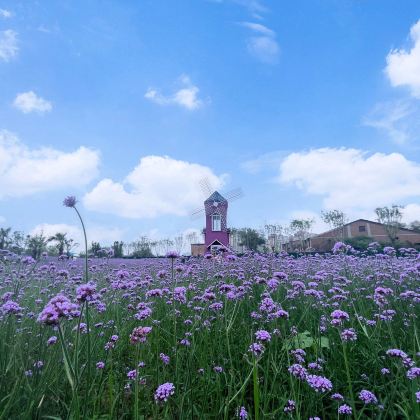 新乡2日1晚拼小团