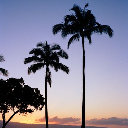 美国洛杉矶+旧金山7日6晚私家团