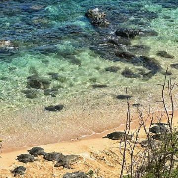 美国夏威夷欧胡岛+茂宜岛+夏威夷岛8日6晚跟团游