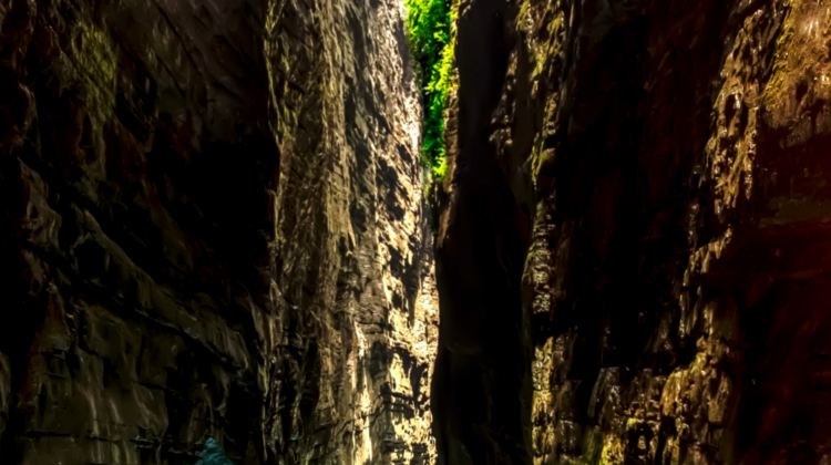 5-day 4-night · Private Tour · Enshi City + Shennongjia