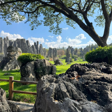 昆明4日3晚自由行