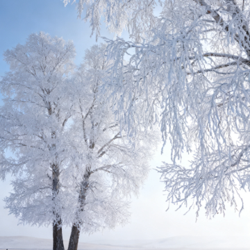 呼伦贝尔+额尔古纳+满洲里+阿尔山8日7晚私家团