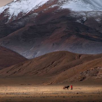 西藏拉萨+珠峰大本营+纳木措景区+羊卓雍错+色林措7日6晚拼小团