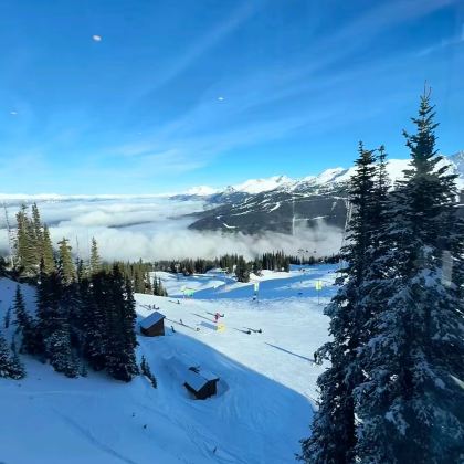 芬兰7日5晚跟团游