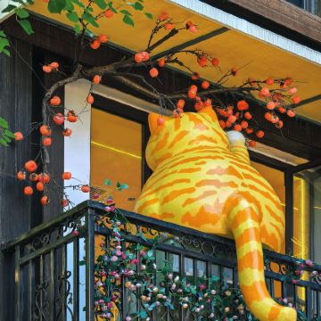 福州+泉州5日4晚私家团