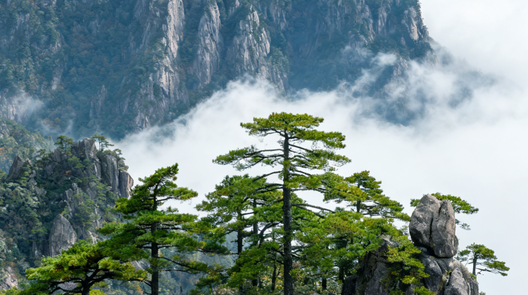 2-Day Huangshan Scenic Area