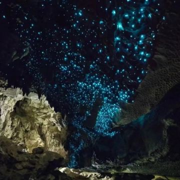 新西兰奥克兰+陶波+罗托鲁瓦+基督城+特卡波+瓦纳卡+皇后镇11日10晚私家团