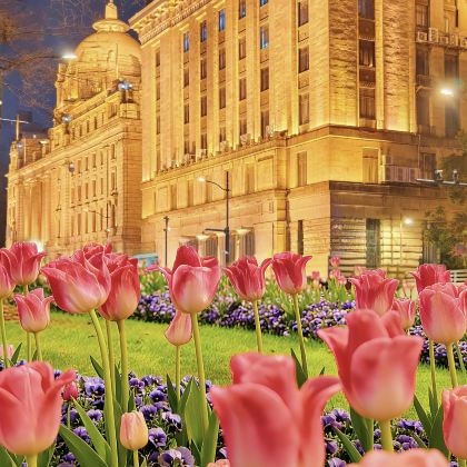 上海豫园+外滩+东方明珠+南京路步行街+城隍庙旅游区+武康路+新天地+田子坊4日3晚私家团