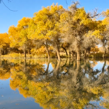 新疆乌鲁木齐+南疆+喀什市+库车10日9晚跟团游