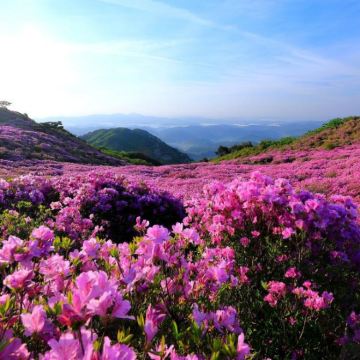 贵州贵阳+黄果树景区+荔波+镇远县+梵净山8日7晚私家团