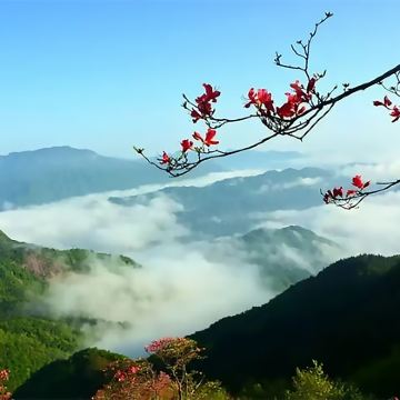 安徽金寨+天堂寨+燕子河大峡谷+西茶谷农庄+梅山水库风景区4日3晚拼小团