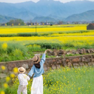 济南+泰山风景区+曲阜+淄博6日5晚私家团