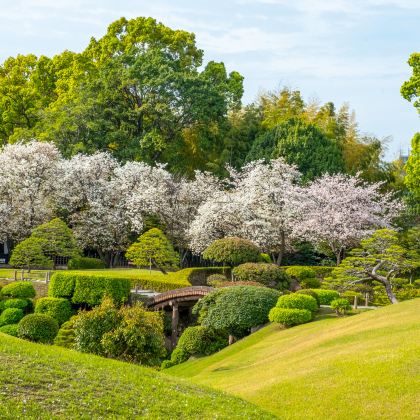 日本九州+熊本市+鹿儿岛市+宫崎市+福冈7日6晚私家团