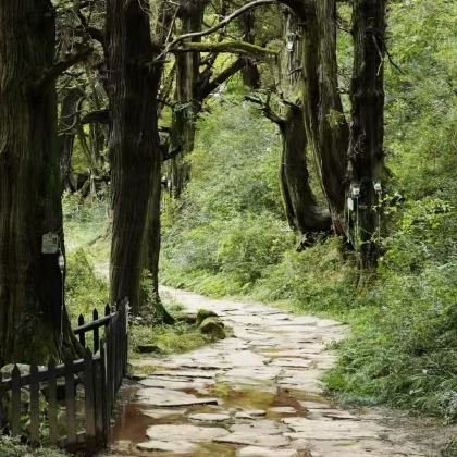 剑门关+皇泽寺3日2晚跟团游