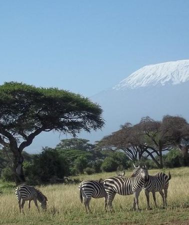 3D2N • 3 days Red elephant safari