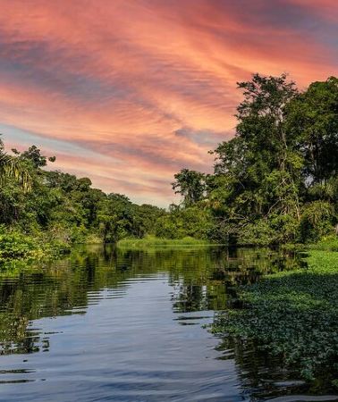 2D1N • Discover Tortuguero: 1 Night 2 Days All Inclusive Package