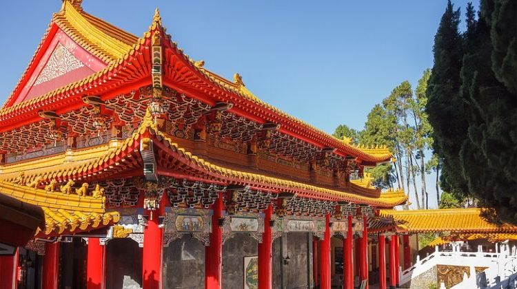 3-Day Exclusive 3-Day Sun Moon Lake & Alishan Private Tour