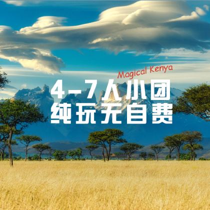 户外野奢·肯尼亚内罗毕+安博塞利+马赛马拉国家保护区8日7晚私家团