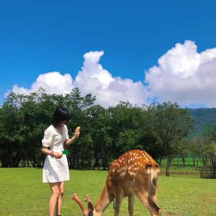 武汉+黄鹤楼+神农架+恩施大峡谷7日6晚私家团