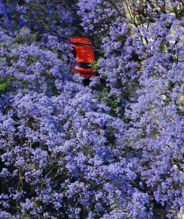 5D4N • Kunming: Stone Forest Karst + Jiuxiang Caves + Western Hills Longmen + Yunnan Nationalities Village + Haigeng Dam + Dounan Flower Market