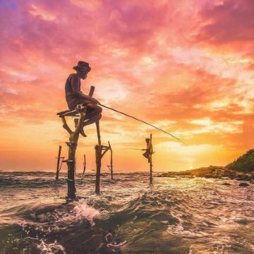 斯里兰卡8日7晚拼小团