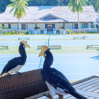 马来西亚吉隆坡+马六甲+翡翠帝王岛+乔治市8日7晚拼小团