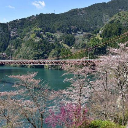 日本四国+高松+高知市+松山+道后温泉8日7晚私家团