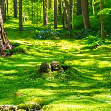 京都4日3晚自由行