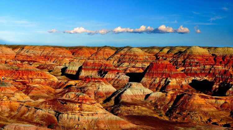 9D8N · Private Tours · Private Exclusive Tour & No Stranger Sharing & Custom Itinerary & Hukou Waterfall of the Yellow River + Mount Hua + Ganquan Canyon + Terracotta Warriors DIY Experience