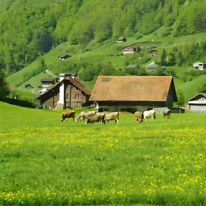 瑞士8日6晚私家团