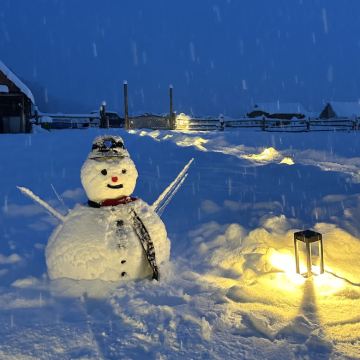 新疆阿勒泰市+喀纳斯景区+禾木风景区+白哈巴景区3日2晚拼小团