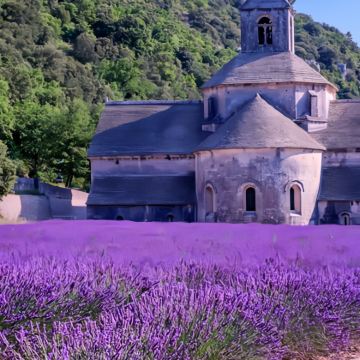 西班牙+葡萄牙+法国阿维尼翁+安道尔+波尔多14日13晚跟团游