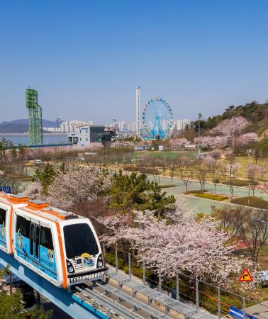 4D3N • South Korea + Seoul + Incheon: enjoy a 2-day chartered tour covering Gyeongbokgung Palace, N Seoul Tower, the Wolmi Island Ocean Train, and Songwol-dong Fairy Tale Village