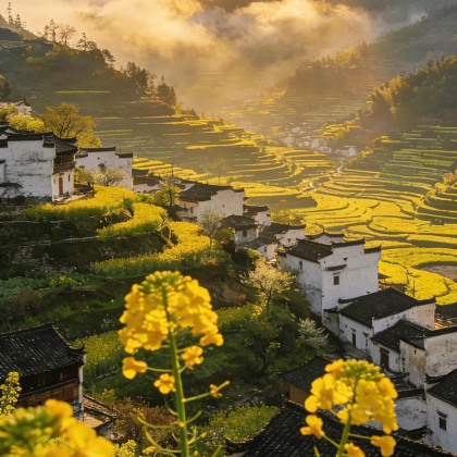 婺源+宏村景区+黄山市3日2晚私家团