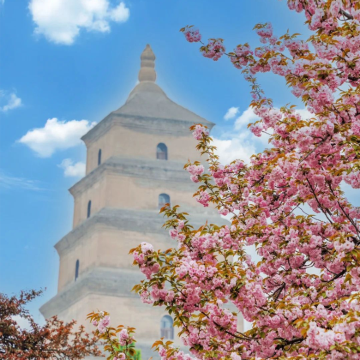 西安6日5晚私家团