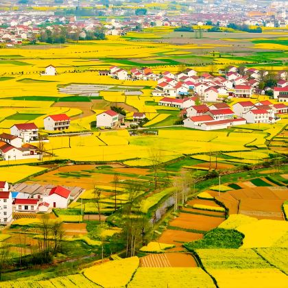 汉中龙头山国际旅游度假区+皇塘油菜花+定军山+紫柏山国家森林公园+张良庙+狮子沟牧场+情人谷2日1晚私家团