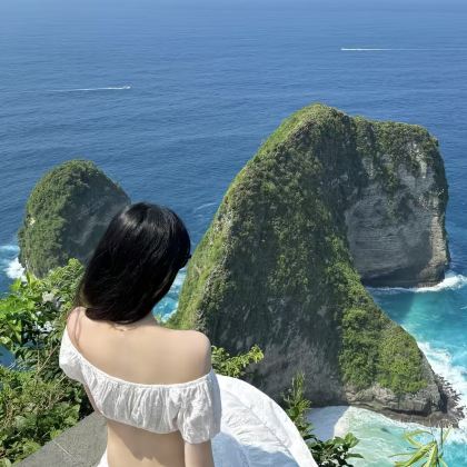泗水＋巴厘岛＋新加坡13日12晚私家团