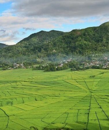 5D4N • Labuan Bajo Countryside Tour