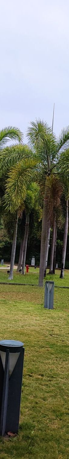 茂名森林公园-茂名