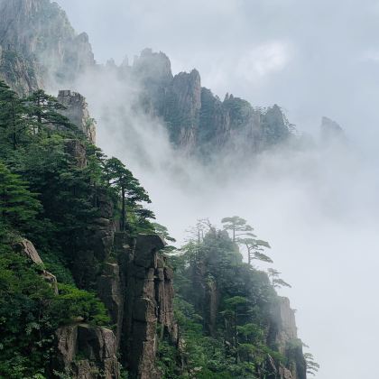安徽黄山+宏村+西递+域见秀里·水镇4日3晚私家团