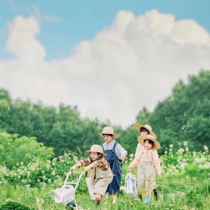昆明+抚仙湖+建水+元阳+普者黑景区+弥勒6日5晚拼小团