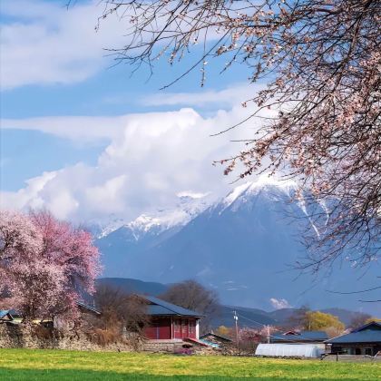 中国西藏林芝雅鲁藏布大峡谷+卡定沟景区+巴松措+南迦巴瓦峰2日1晚跟团游