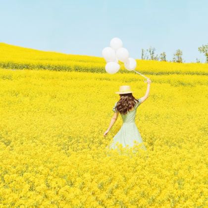 江西九江+庐山+婺源+三清山+景德镇5日4晚私家团